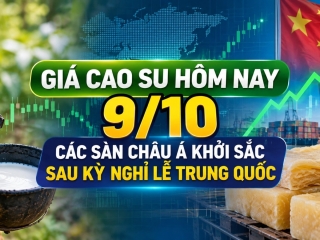 Giá cao su hôm nay 9/10: Các sàn châu Á khởi sắc sau kỳ nghỉ lễ Trung Quốc