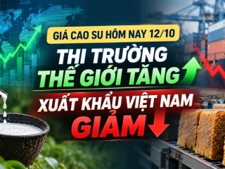 Giá cao su hôm nay 12/10: Thị trường thế giới tăng, xuất khẩu Việt Nam giảm