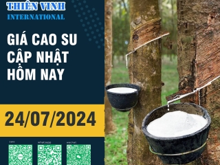 Giá cao su hôm nay 24/07/2024: Điều chỉnh trái chiều