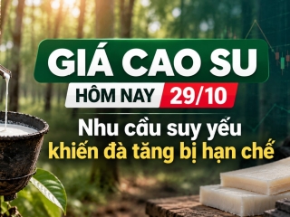 Giá cao su hôm nay 29/10: Nhu cầu suy yếu khiến đà tăng bị hạn chế