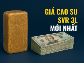 Giá Cao Su SVR 3L Hôm Nay – Cập Nhật Mới Nhất