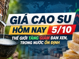Giá cao su hôm nay 5/10: Thế giới tăng giảm đan xen, trong nước ổn định