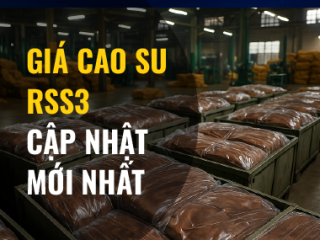Cập nhật giá cao su RSS3 mới nhất: Doanh nghiệp cần biết gì?