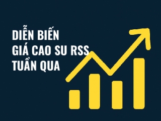 Diễn biến giá cao su RSS3 tuần qua