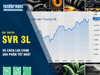 Giá cao su SVR 3L hiện nay trên thị trường và cách lựa chọn sản phẩm tốt nhất