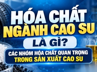 Hóa chất ngành cao su là gì? Các nhóm hóa chất quan trọng trong sản xuất cao su