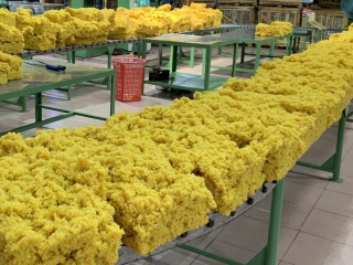 Công ty cung cấp cao su tự nhiên, cao su tổng hợp Gia Lai