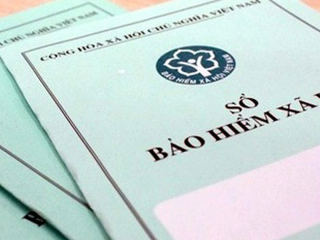 Luật số 41/2024/QH15 Bảo hiểm xã hội