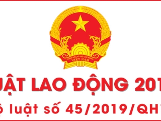 Luật lao động số 45/2019/QH14
