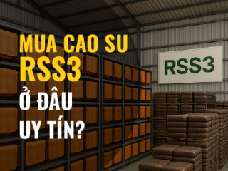 Mua cao su RSS3 ở đâu uy tín? giải pháp tối ưu cho doanh nghiệp sản xuất
