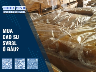 Mua cao su SVR3L ở đâu?