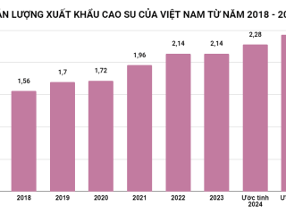 Ngành cao su Việt Nam thuận lợi tăng trưởng nhờ nguồn cung thế giới sụt giảm