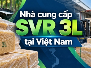Nhà cung cấp SVR 3L tại Việt Nam