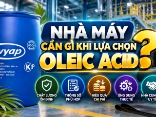 Nhà máy cần gì khi lựa chọn Oleic Acid?
