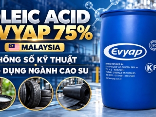 Oleic Acid Evyap 75% Malaysia: Thông số kỹ thuật, ứng dụng Oleic Acid trong ngành cao su