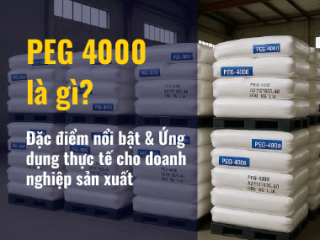 PEG 4000 là gì? Đặc điểm nổi bật & Ứng dụng thực tế cho doanh nghiệp sản xuất