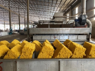 Công ty cung cao su tự nhiên, cao su tổng hợp Bình Phước