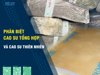 Phân Biệt Cao Su Thiên Nhiên và Cao Su Tổng Hợp: Tính Ứng Dụng và Quy Trình Sản Xuất