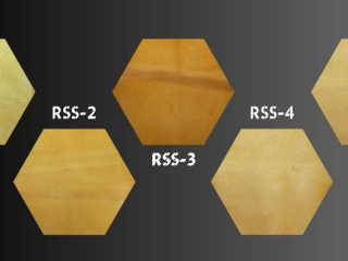 Mủ tờ RSS là gì? phân loại và ứng dụng