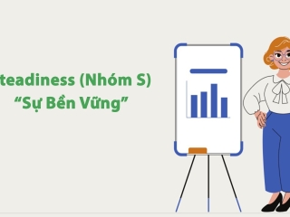 Nhóm S - Steadiness, sự kiên định