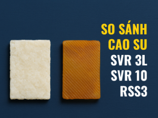 So sánh cao su SVR 3L, SVR 10 và RSS3: đâu là lựa chọn tối ưu?