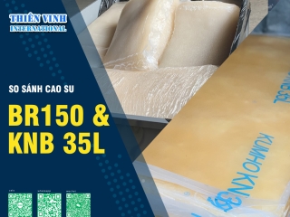 So sánh cao su BR150 và cao su KNB 35L: Sự khác biệt về tính năng