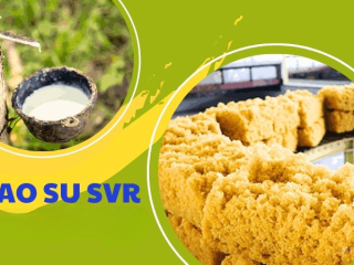 So sánh cao su SVR 3L với các loại cao su khác