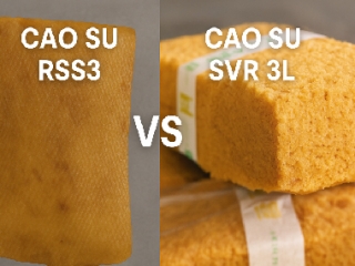 Cao su RSS3 và cao su SVR 3L: những khác biệt quan trọng trong ứng dụng công nghiệp