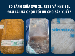 So sánh giữa SVR 3L, RSS3 và KNB 35L - đâu là lựa chọn tối ưu cho sản xuất?