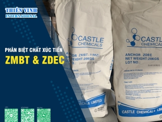 So sánh chất xúc tiến ZMBT và chất xúc tiến ZDEC