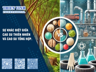 Sự khác biệt giữa cao su thiên nhiên và cao su tổng hợp
