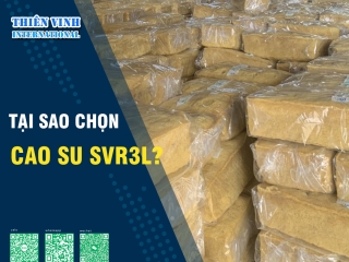 Tại sao chọn cao su SVR 3L?