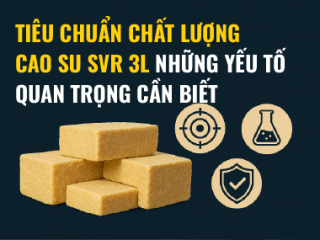 Tiêu chuẩn chất lượng cao su SVR 3L: Những yếu tố quan trọng cần biết