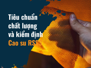 Tiêu chuẩn chất lượng và kiểm định Cao su RSS3