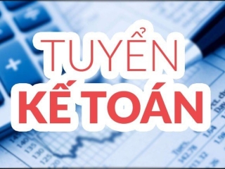  Thiên Vinh International - Tuyển kế toán nội bộ 