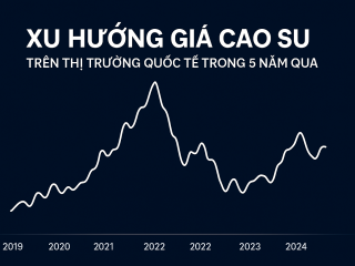 Xu hướng giá cao su trên thị trường quốc tế trong 5 năm qua