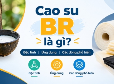 Cao su BR là gì? Đặc tính, ứng dụng và các dòng cao su BR phổ biến