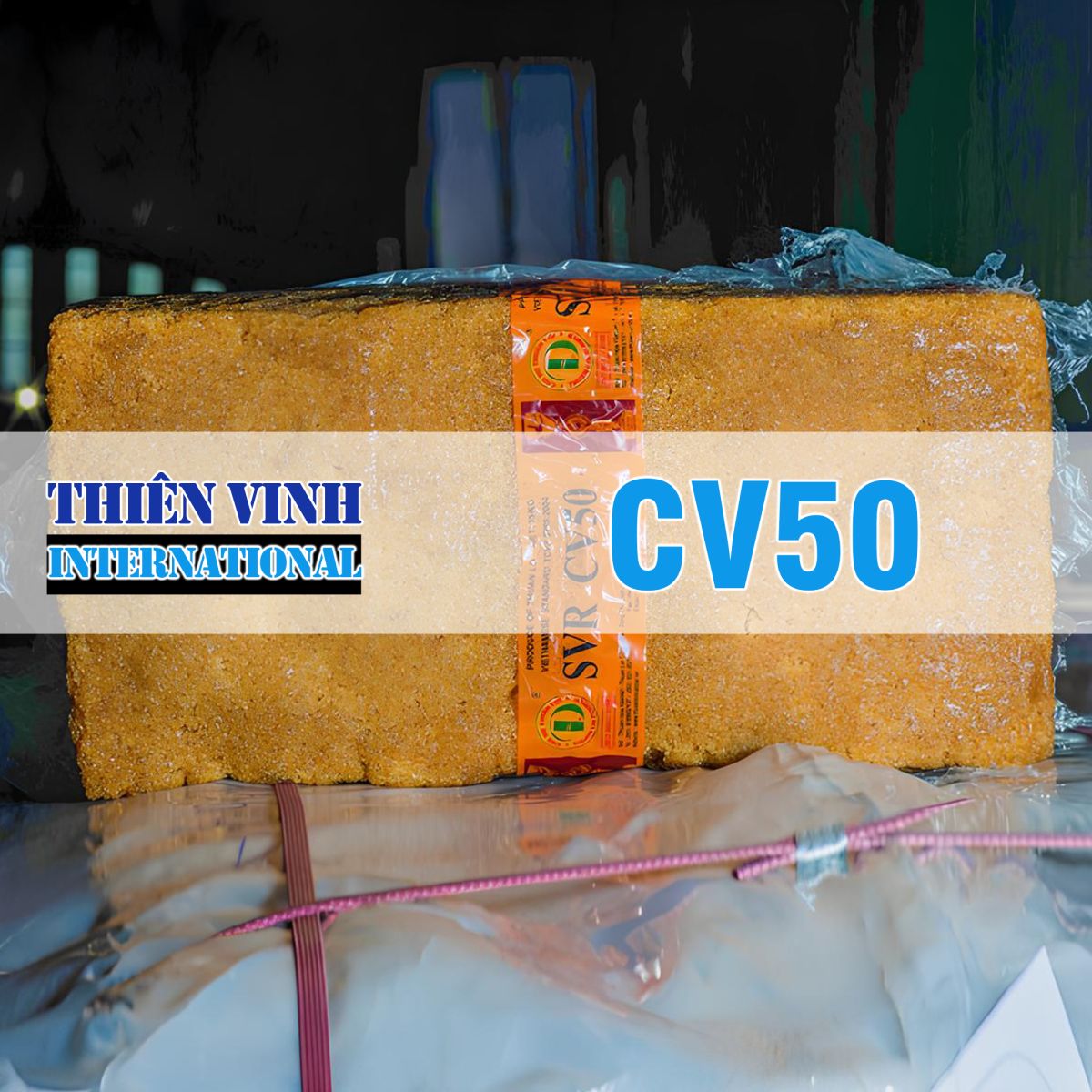 Thiên Vinh International - Công ty hơn 15 năm cung cấp cao su tự nhiên uy tín