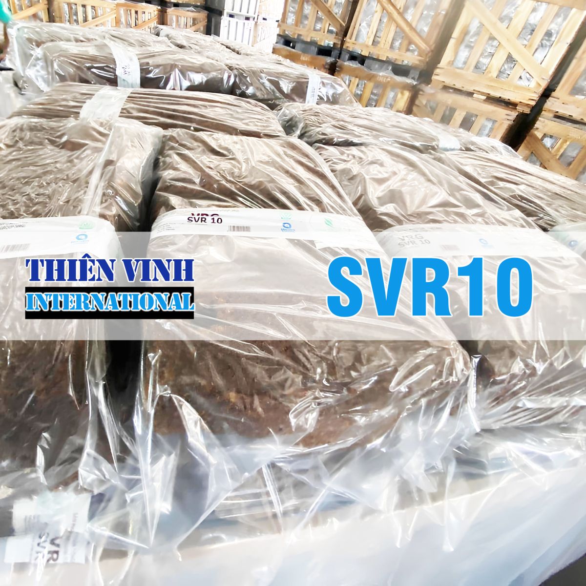 Thiên Vinh International - Công ty hơn 15 năm cung cấp cao su tự nhiên uy tín