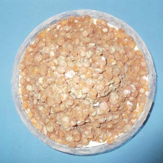 Chất chống oxy hóa Antioxidant TMQ, Trung Quốc, 25kg